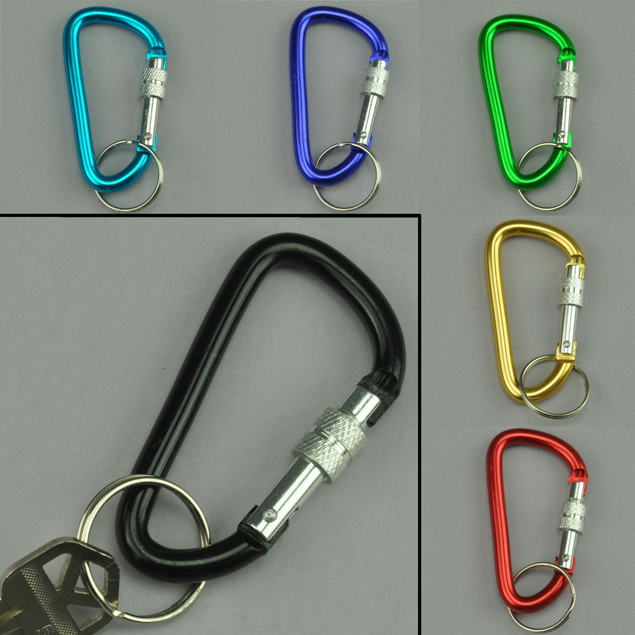 Carabiner Clip Keychain with Lock Bulk Pack